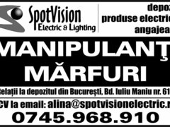 Manipulanti marfuri